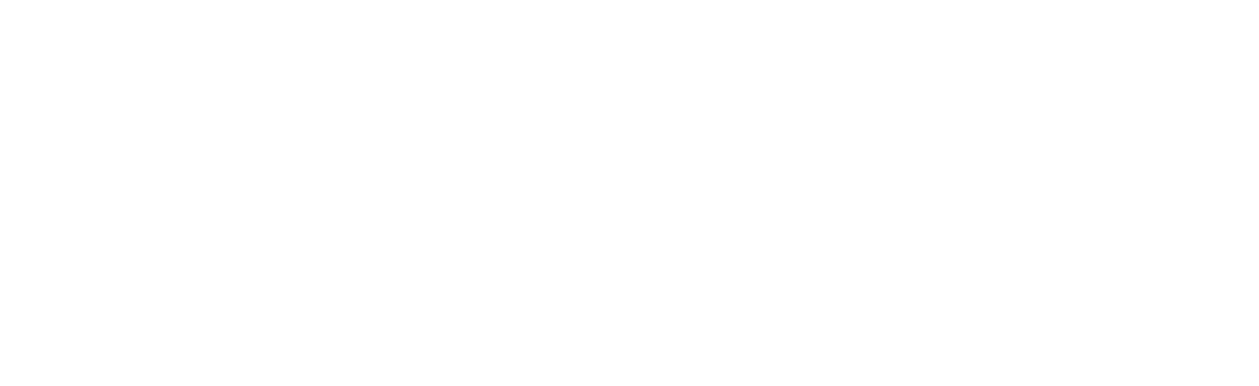 Silvercoastcars - Importação de carros